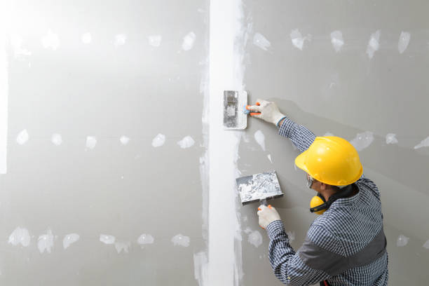 Environmental Consulting for Mold Prevention in Waipio Acres, HI